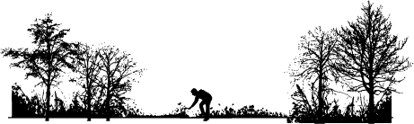 Ecoliteracy_
